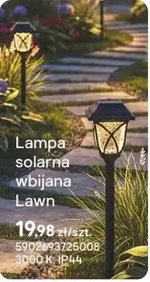 Castorama Lampa solarna wbijana Lawn oferta