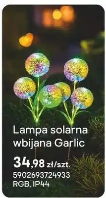 Castorama Lampa solarna wbijana Garlic oferta