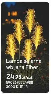 Castorama Lampa solarna wbijana Fiber oferta