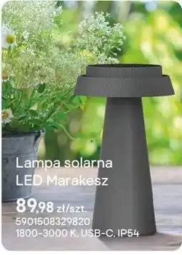 Castorama Lampa solarna LED Marakesz oferta