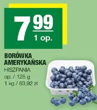 Spar Borówka amerykańska oferta