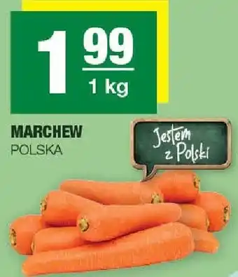Spar Marchew oferta