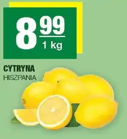 Spar Cytryna oferta