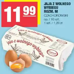 Spar Jaja z wolnego wybiegu rozm. M oferta