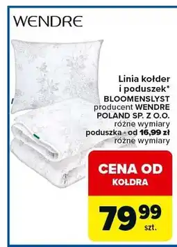 Carrefour Kołdra i poduszek BLOOMENSLYST różne wymiary poduszka - od 16,99 zł różne wymiary oferta