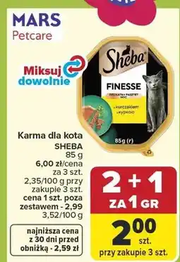 Carrefour Karma dla kota Finesse oferta