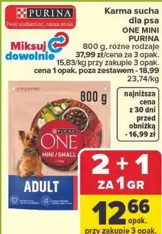 Carrefour Karma sucha dla psa ONE MINI PURINA oferta