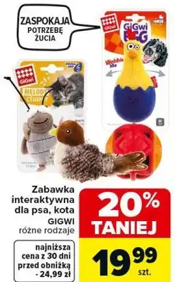 Carrefour Zabawka interaktywna dla psa, kota oferta