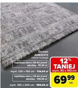 Carrefour Dywan AMBIENTE różne rodzaje wym. 80 x 140 cm oferta