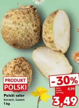 Kaufland Polski seler oferta
