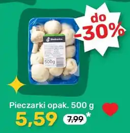 Biedronka Pieczarki Opak. 500 g oferta