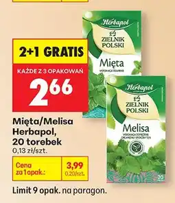 Biedronka Mięta zielnik polski oferta