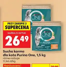 Biedronka Sucha karma dla kota różne rodzaje oferta
