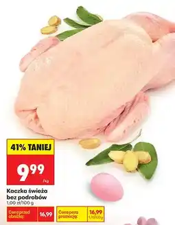 Biedronka Kaczka świeża bez podrobów oferta