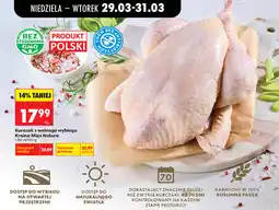 Biedronka Kurczak z wolnego wybiegu oferta