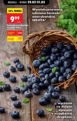 Biedronka Wyselekcjonowana odmiana borówki amerykańskiej XL, opak oferta