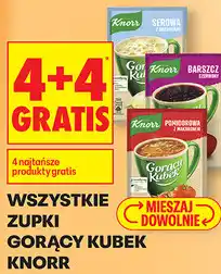 Biedronka WSZYSTKIE ZUPKI GORĄCY KUBEK KNORR oferta