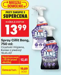 Biedronka Spray Cillit Bang oferta