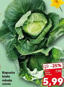 Kaufland Kapusta młoda oferta