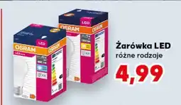 Kaufland Żarówka LED oferta