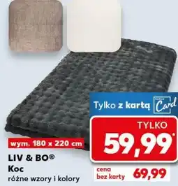 Kaufland Koc oferta