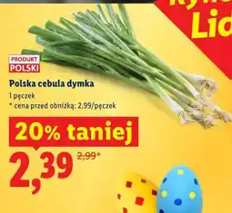 Lidl Polska cebula dymka oferta