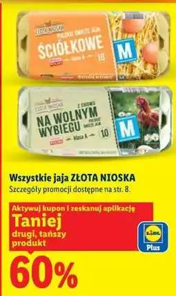 Lidl Wszystkie jaja oferta