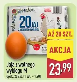 ALDI Jaja z wolnego wybiegu M oferta