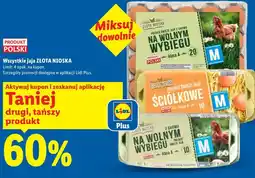 Lidl Wszystkie jaja oferta