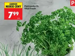 Biedronka Pietruszka XL oferta