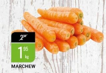 bi1 Marchew 1kg oferta