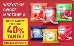 ALDI Wszystkie owoce mrożone oferta