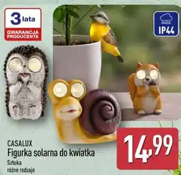 ALDI Figurka solarna do kwiatka oferta
