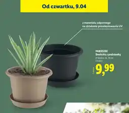 Lidl Doniczka z podstawką oferta
