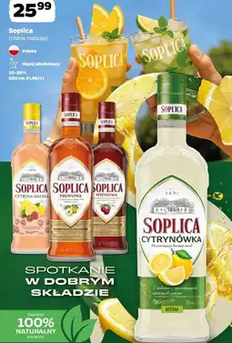 Netto Soplica (różne rodzaje) oferta