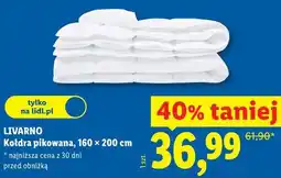 Lidl Kołdra pikowana, 160 x 200 cm oferta