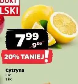 Netto Cytryna luz oferta