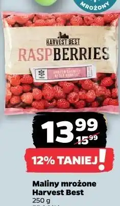Netto Maliny mrożone Harvest Best oferta