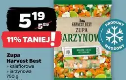 Netto Zupa Harvest Best oferta