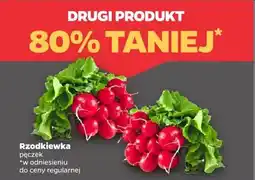Netto Rzodkiewka oferta