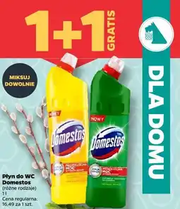 Netto Płyn do WC Domestos oferta