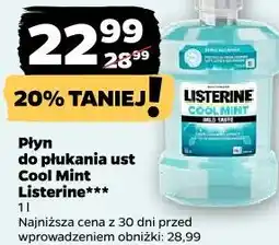 Netto Płyn do płukania ust Cool Mint Listerine oferta