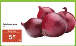 Dino Cebula czerwona luz oferta