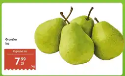 Dino Gruszka luz oferta