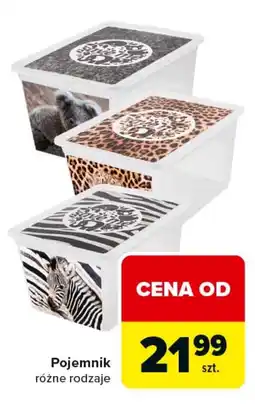 Carrefour Pojemnik oferta