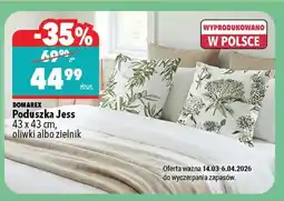 Biedronka Poduszka Jess 43 x 43 cm oferta
