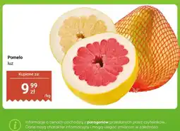 Dino Pomelo luz oferta