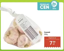 Dino Czosnek oferta