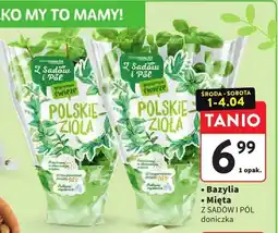 Intermarche Mięta z sadów i pól doniczka oferta
