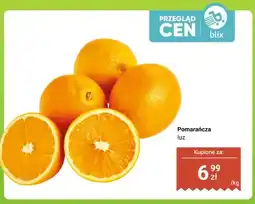 Dino Pomarańcza luz oferta